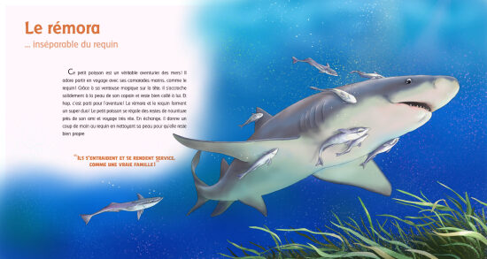 Collection "La vie secrète des animaux" Editions Trois petits points 2025