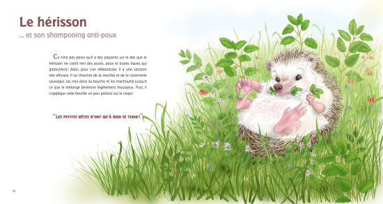 Collection "La vie secrète des animaux" Editions Trois petits points 2025